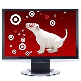 Westinghouse 19' Widescreen LCD Monitor - Black (L1916HW)