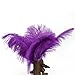 Leegoal Home Decor Purple Ostrich Feathers 10-15cm