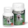Green-Um Food Supplement - Keeps Grass Green