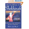 On the Wings of Shekhinah: Rediscovering Judaism's Divine Feminine by  Rabbi Leah Novick