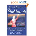 Click here to buy On the Wings of Shekhinah: Rediscovering Judaism's Divine Feminine by  Rabbi Leah Novick.