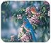 Fiddler's Elbow Bluebirds Mouse Pad