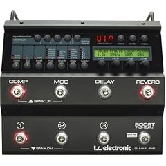 TC ELECTRONIC GNATURAL MULTI EFFECT