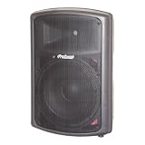 800w 15inch Plastic Cabinet Speaker