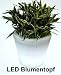 LED Blumentopf weiss 19,5 cm