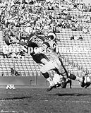 Raymond Berry Baltimore Colts 8x10 Photo