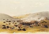 Kunstreproduktion: George Catlin. Buffalo Hunt. Surround. c.1832. 80 x 56