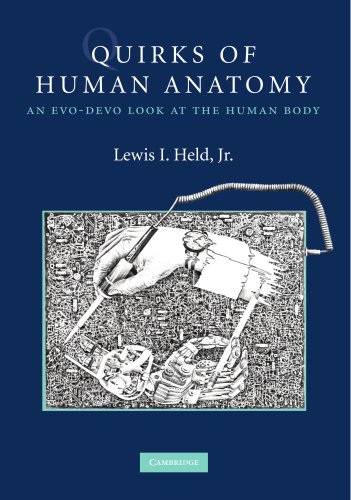Quirks of Human Anatomy: An Evo-Devo Look at the Human Body