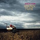 A Broken Frame