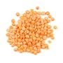 Lentils, Petite Crimson - 12 / 12 Oz Bag Case