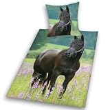 Herding 442485050 Bettw&auml;sche Pferd, 80 x 80 cm +135/200 cm, Linon