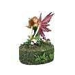 Gossamer Willowand Fairy Trinket Box