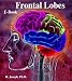 Frontal Lobes