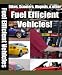 Motorcycles, Scooters, Mopeds, and Other Fuel Efficient Vehicles (Illustrated)