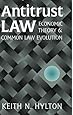 Antitrust Law: Economic Theory and Common Law Evolution