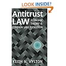Antitrust Law: Economic Theory and Common Law Evolution