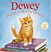 Dewey: There's a Cat in the Library!