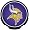 Minnesota Vikings