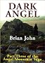 Dark Angel (The Angel Mountain Saga)