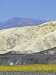El Nino Wildflowers in Death Valley and the Funeral Mountains, California Photographic Poster Print by Rich Reid, 24x32