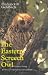Eastern Screech Owl (W. L. Moody, Jr., Natural History (Hardcover))