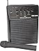 Musical Instruments : Nady WA 120 Portable PA System with Wireless Hand-Held Mic, Channel P