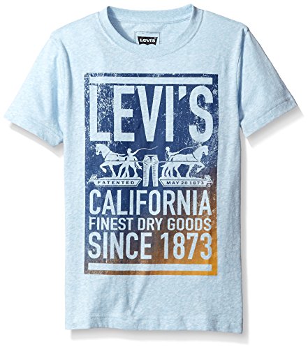 Levi's Big Boys' Levis Cotton Tee Shirt