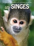 Le monde merveilleux des animaux en photos / les singes