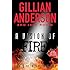 A Vision of Fire: Book 1 of The EarthEnd Saga