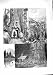 1888 CALIFORNIA MAMMOTH TREES MOUNTAINS ROCK SCENERY