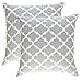 TreeWool Trellis Accent Spring Summer 16x16 Set of 2 Decorative Throw Pillow Covers 100% Cotton Home Decor Pillowcases for Sofa Couch (Silver Gray)