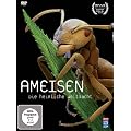 Ameisen - Die heimliche Weltmacht