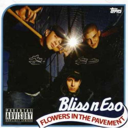 Bliss n Eso - Flowers In The Pavement - Zortam Music
