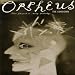 Orpheus the Lowdown