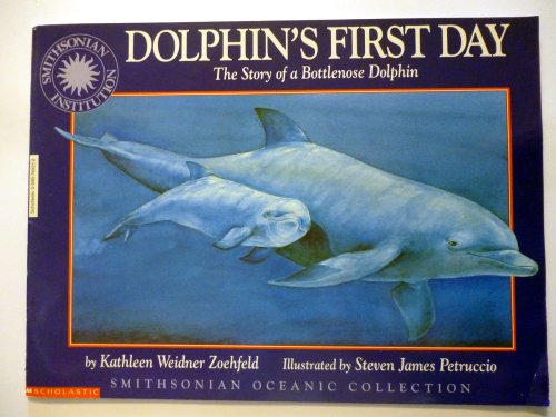 Dolphin's First Day