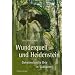 Wunderquell und Heidenstein: Geheimnisvolle Orte in S�dbaden