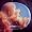 Embryo