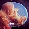 Bild des Albums von MoTrip
