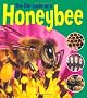 The Life Cycle of a Honeybee (Learning About Life Cycles)