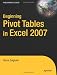 Beginning PivotTables in Excel 2007: From Novice to Professional (Expert's Voice)