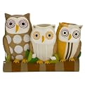 Hoot Toothbrush Holder - Brown
