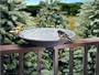 Allied Precision 20 inch EZ Deck Tilt and Clean