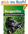 Berggorillas: Sanfte Riesen im Bwindi National Park in Uganda