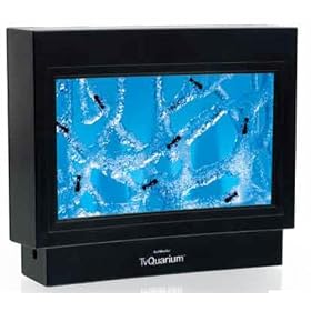 AntWorks TVQuarium Ant Habitat