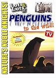 Lots and Lots of Penguins In The Wild DVD