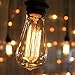Edison Bulb, AdiyZ Vintage Filament ST64 Edison Incandescent Light Bulbs 60W 4 Pack