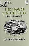 The house on the cliff