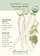 Radish Seeds Daikon Miyashige White Certified Organic Heirloom Seeds 175 Seeds