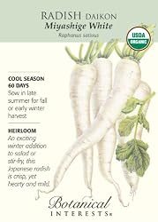 Radish Seeds Daikon Miyashige White Certified Organic Heirloom Seeds 175 Seeds