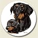 Doberman Pinscher Stone Auto Car Coaster (1)